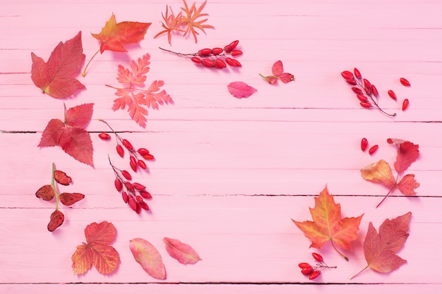 Herbstblätter auf rosa Holz