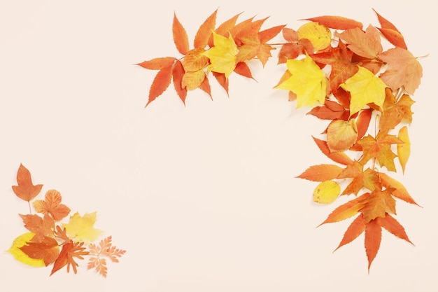Herbstblätter auf weißem Hintergrund