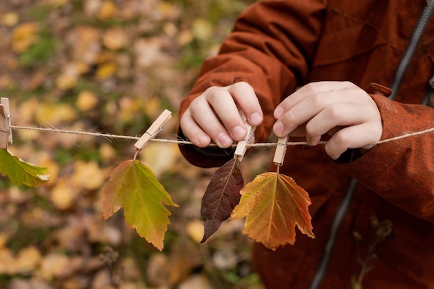 Herbstblätter hängen an hölzernen Wäscheklammern. Herbstdeko für Halloween