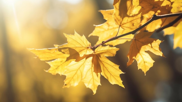 Herbstblätter Hintergrund Illustration AI GenerativexA