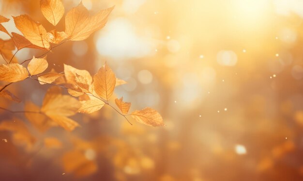 Herbstblätter Hintergrundfoto von Blättern, die in der Luft fliegen