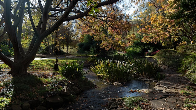 Herbstblätter in einem ruhigen Park, die sich in leuchtende rote und goldene Farbtöne verwandeln