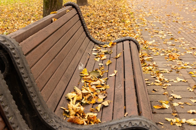 Herbstblätter liegen auf einer Bank in einem Park, Textur. Herbstahornblätter unterschiedlicher Farbe auf der Bank in einem Park.