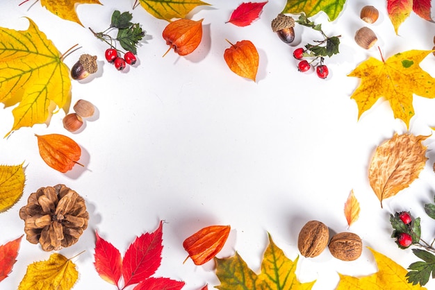 Herbstblätter liegen flach