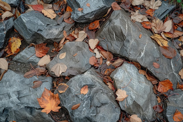 Herbstblätter verstreut auf dem felsigen Boden