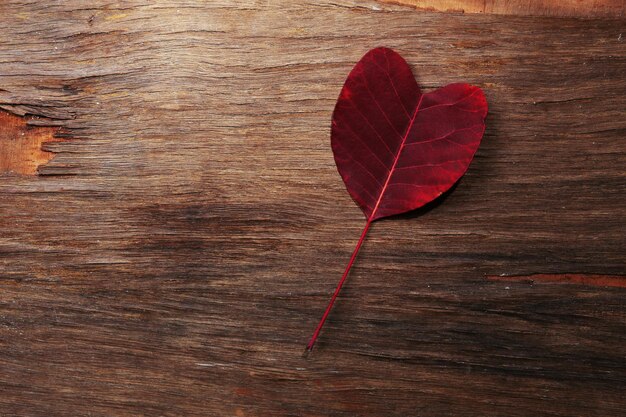 Herbstblatt wie ein Herz auf Holzuntergrund