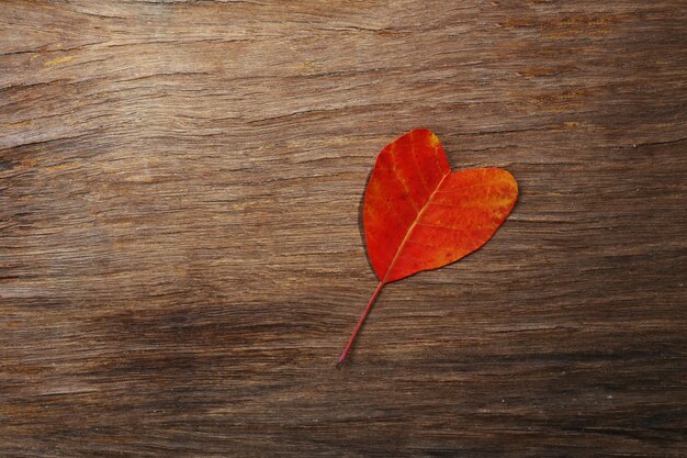 Herbstblatt wie ein Herz auf Holzuntergrund