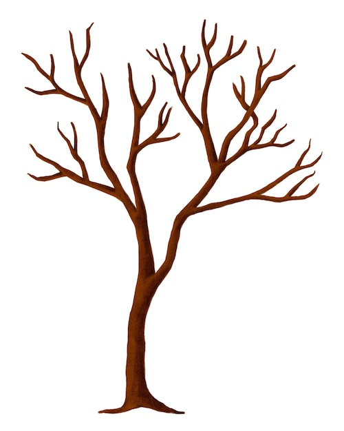 Herbstblattloser Baum png-Aufkleber saisonale botanische Illustration durchsichtiger Hintergrund