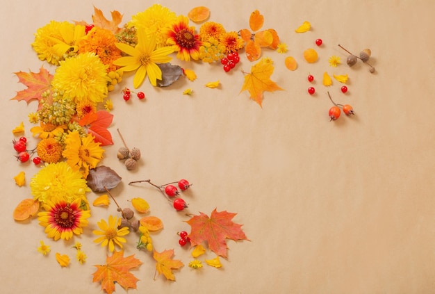 Herbstblumen und Blätter auf Papierhintergrund