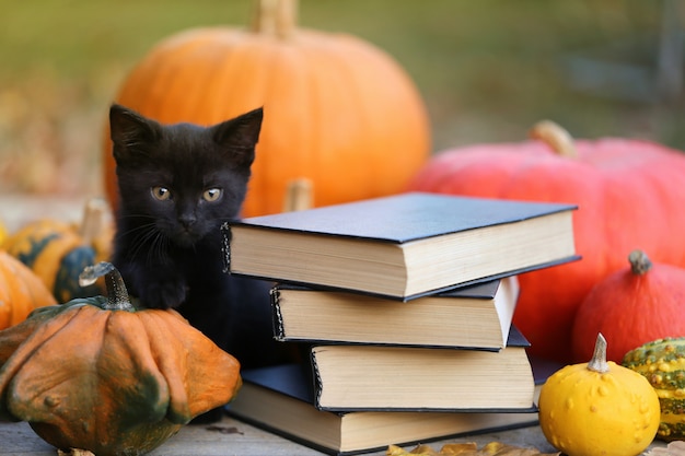 Herbstbücher für Halloween