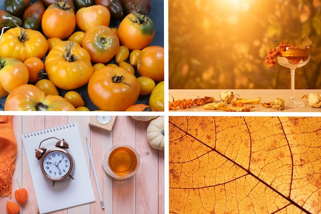 Foto herbstcollage mit orangetönen herbstkonzept