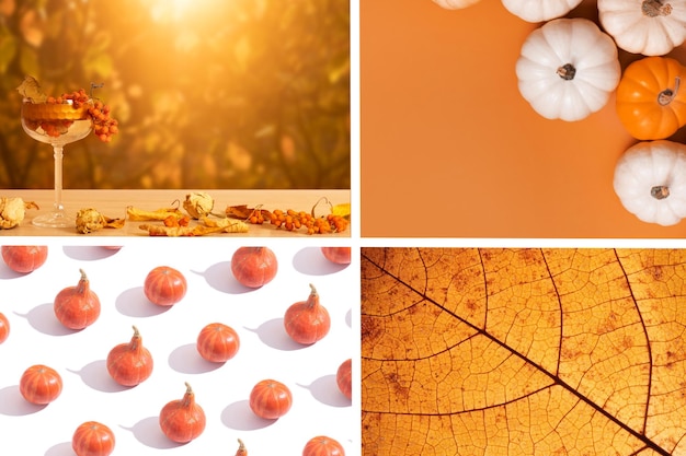 Herbstcollage mit Orangetönen Herbstkonzept