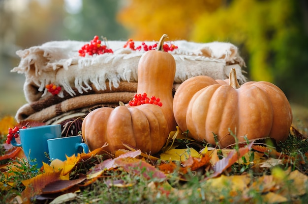 Herbstdanksagungsstillleben