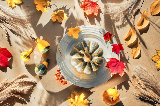 Herbstdeko mit Kürbis auf Platte Herbstlaub Pampasgras und Kürbisse auf beigem recyceltem Hintergrund