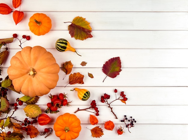 Herbstdekor aus Kürbissen, Beeren und Blättern auf weißem Holzhintergrund. Konzept von Thanksgiving oder Halloween. Flache Herbstkomposition mit Kopienraum.