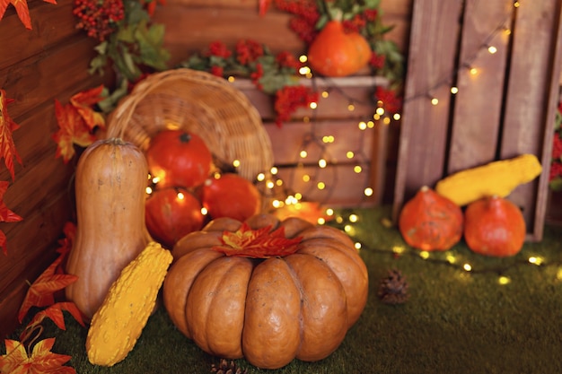 Herbstdekor: Kürbisse, Beeren und Blätter auf einem hölzernen Hintergrund, Erntedankfest oder Halloween