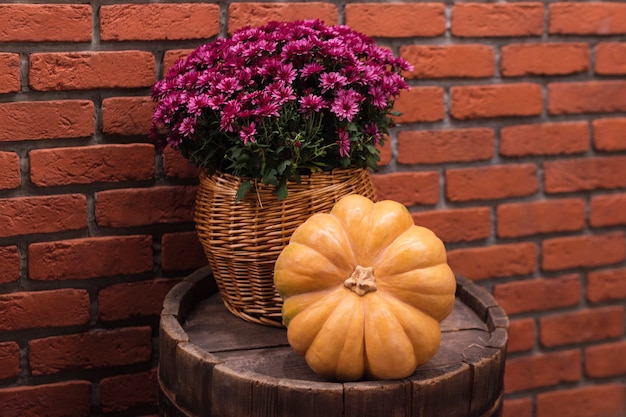 Foto herbstdekor mit kürbis und blumen auf altem holzfass. ernte und garten im freien dekorationen für halloween, thanksgiving, herbstsaison stillleben. komposition im herbststil.