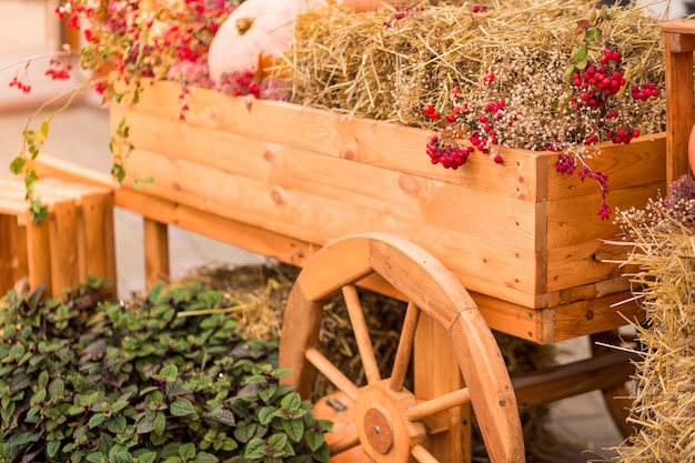 Herbstdekor mit verschiedenen Kürbissen, Herbstgemüse und Blumen. Ernte und Gartendekoration.Foto