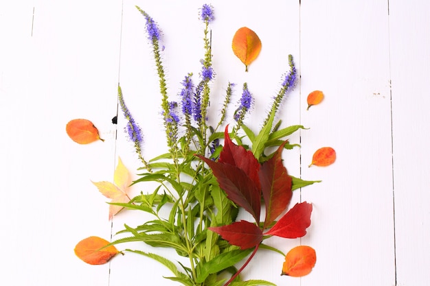 Herbstdekoration der Beeren und Blumen auf weißer hölzerner Hintergrundansicht von oben