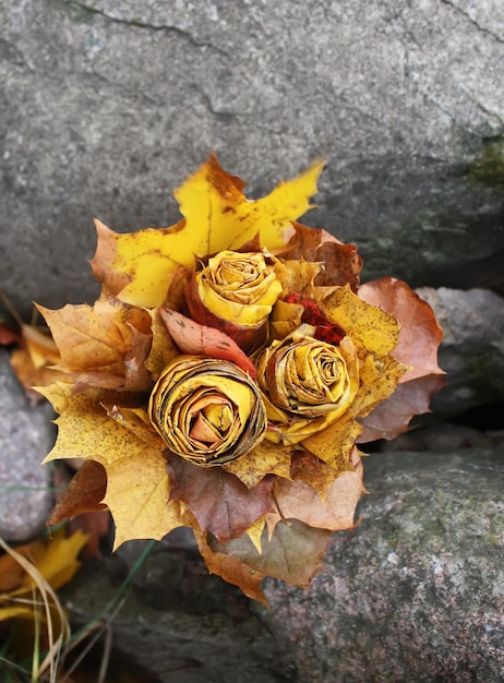 Herbstdekorative Komposition mit gelben Ahornblättern