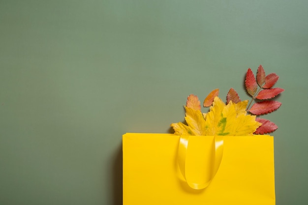 Herbsteinkaufs- und Verkaufskonzept Zusammensetzung aus Herbstlaub und einer Einkaufstasche auf grünem Hintergrund