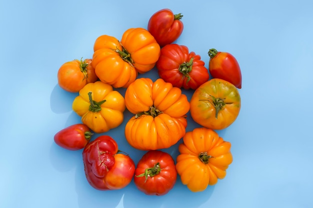 Herbsternte Lebensmittel Hintergrund Bio-Bauernhof-Gemüse auf blauem Hintergrund Frische reife gelbe Tomaten