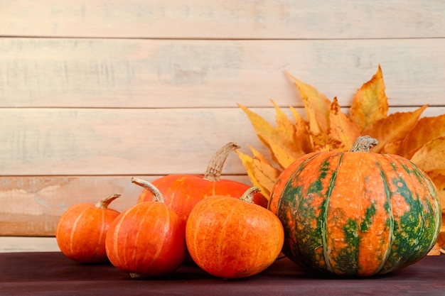 Herbsternte Reife Kürbisse und abgefallene Blätter auf Holzhintergrund Thanksgiving und Halloween