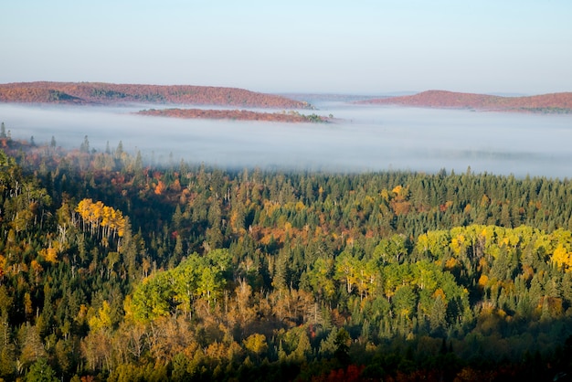 Herbstfarbe im Superior National Forest