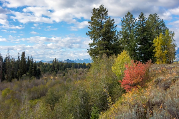 Herbstfarben in Wyoming