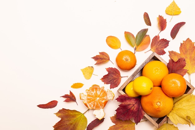 Herbstfarbene Blätter und Zitrusfrüchte. Zitronen, Mandarinen, Grapefruits in einem Holzteller auf einem leichten Deck