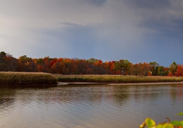 Herbstfarbener Wasserblick auf den Sonnenuntergang Herbstmalerische Natur mit Herbstfluss und vergilbtem Herbst