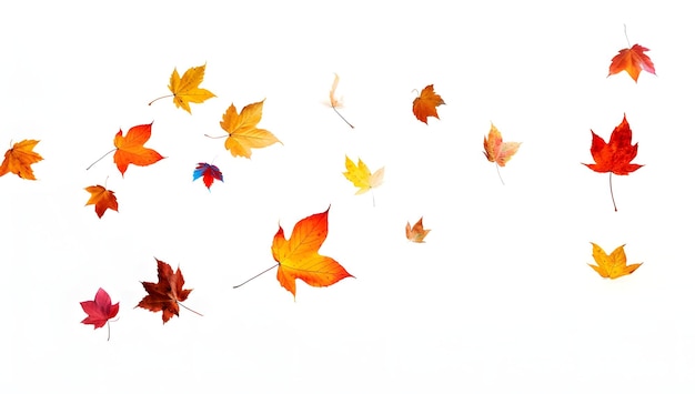 Herbstfarbenes Herbstblatt isoliert auf weißem Hintergrund, Overlay-Textur