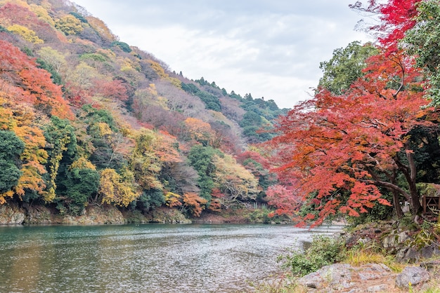 Herbstfarbenjahreszeit in Arashiyama Kyoto Japan