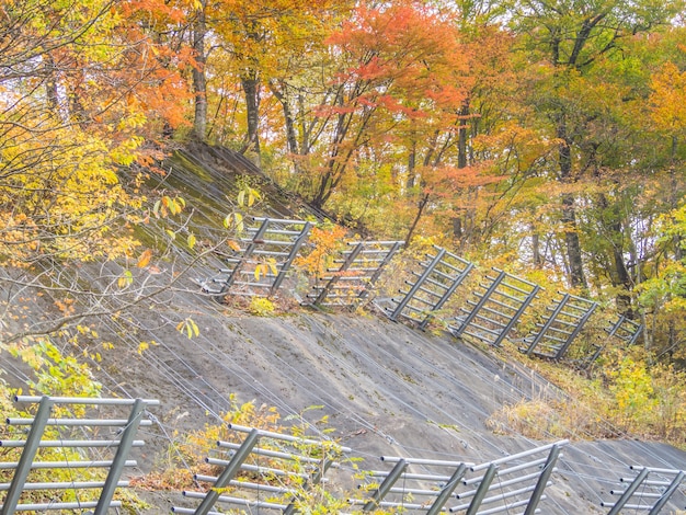 Foto herbstfarbwald und -zaun für sicherheit auf hügel.