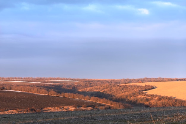 Herbstfelder mit Waldplantagen bei Sonnenuntergang