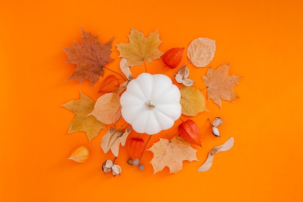 Herbstflache Komposition mit weißem Kürbis und trockenen Blättern