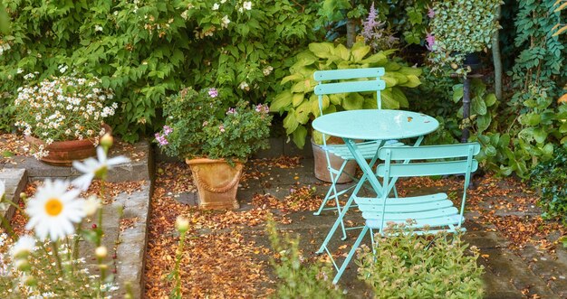 Herbstgarten Der Garten im Herbst