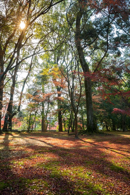 Herbstgarten