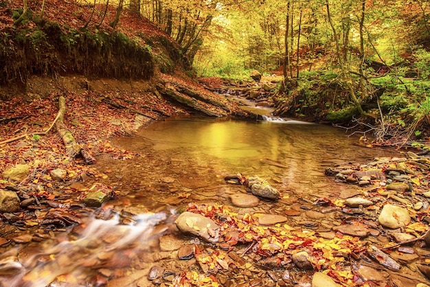 Herbstgebirgsfluss