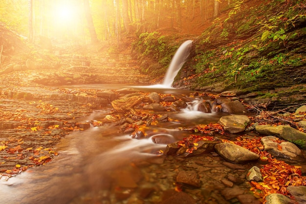 Herbstgebirgswasserfall