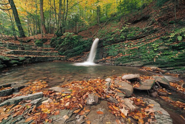 Herbstgebirgswasserfallstrom in den Felsen mit bunten roten gefallenen trockenen Blättern, natürlicher saisonaler Hintergrund. Lumshory, Transkarpatien, Ukraine