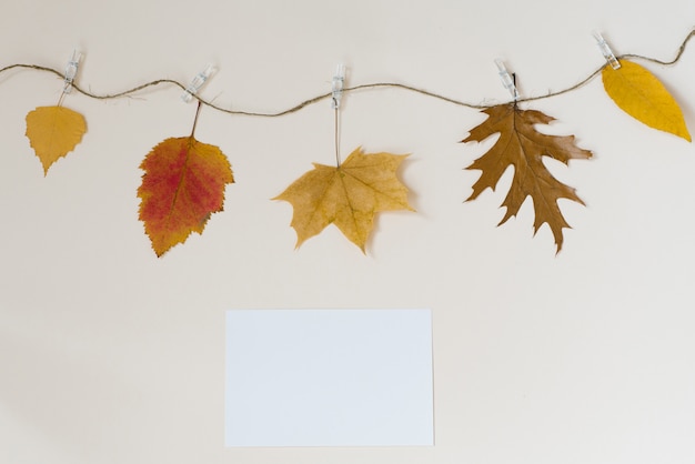 Herbstgefallene Blätter hängen an einem Seil mit Wäscheklammern an einer hellbeigen Wand. Das Konzept der Herbstrabatte. Speicherort kopieren