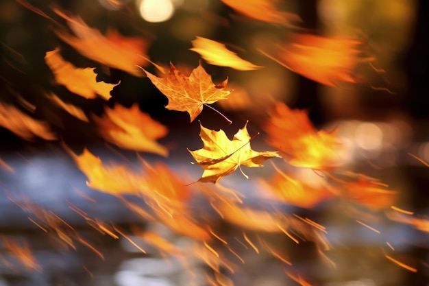 Herbstgelbe Ahornblätter im verschwommenen Hintergrund