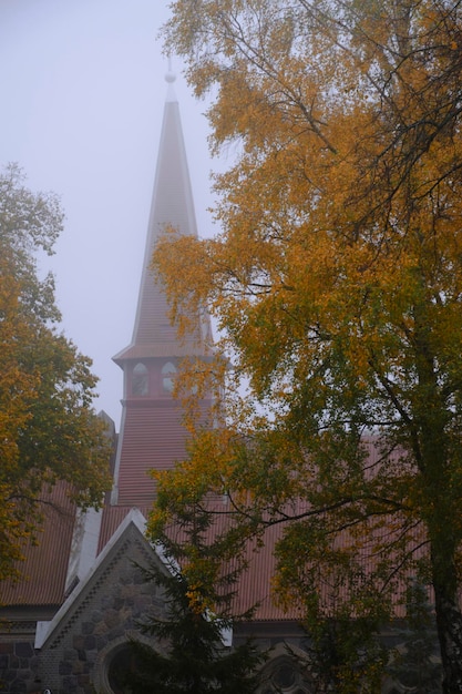 Herbstgelbe Laubbäume und ein altes Gebäude im Nebel im Hintergrund
