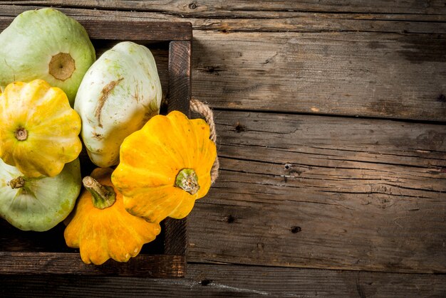 Herbstgemüse. Ernte. Frische rohe Biohofkürbis-Pastetchenwanne in einem Behälterkasten auf einem alten rustikalen Holztisch. Draufsichtkopienraum