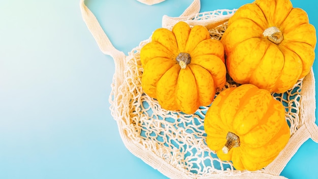 Herbstgemüse Gemüse Herbstnahrungsmittelkonzept minimalistischer Stil glücklicher ThanksgivingHalloween Kürbissevario