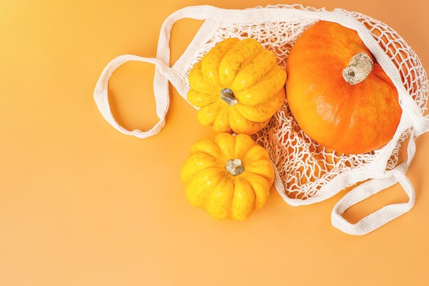 Herbstgemüse, Halloween-Kürbisse, verschiedene Kürbisse in einer Maschentasche aus Stoff, orangefarbener Hintergrundkopie