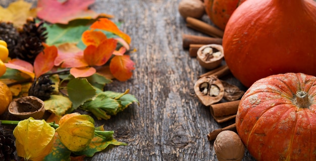 Herbstgemüse, Laub, Nüsse und Kürbisse auf Holztisch