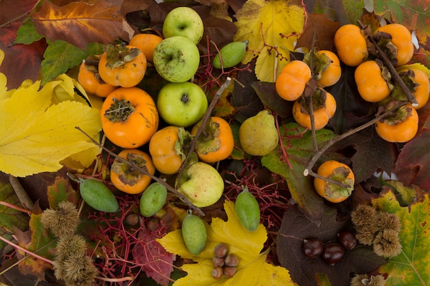 Herbstgemüse und Obst Retro Mahlzeit Konzept.