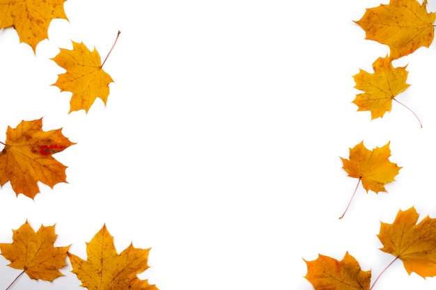 Herbsthintergrund. Blätter. Ahornblätter auf weißem Hintergrund. Flache Lage, Draufsicht. Kopieren Sie Platz für saisonale Aktionen und Rabatte.